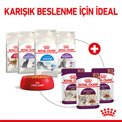 ROYAL CANİN CAT SENSORY SMELL 85 GR*12